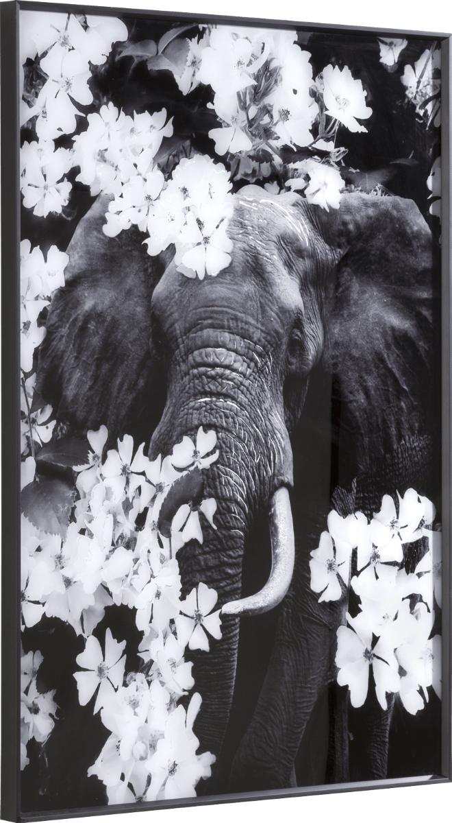 Flower Elephant Print