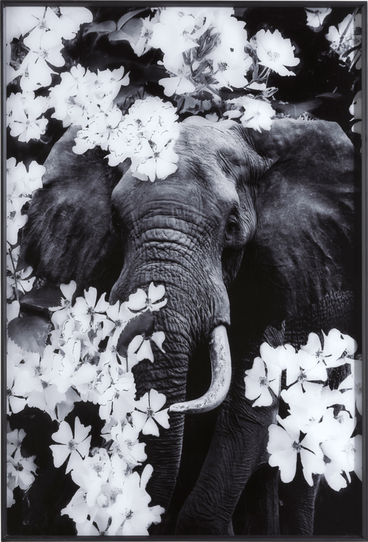 Flower Elephant Print